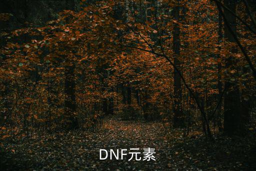 DNF元素