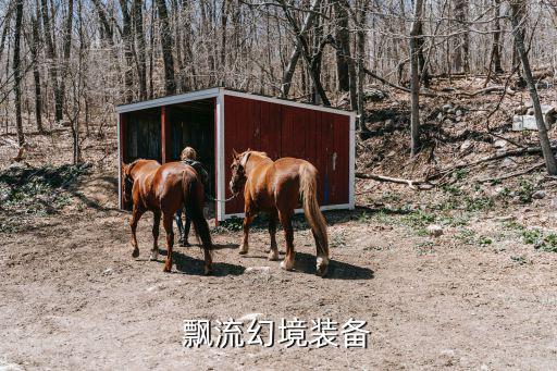 飘仙是什么游戏装备，原神大佬身边飘的是什么