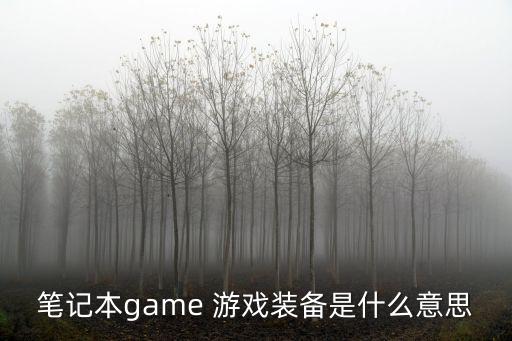 笔记本game 游戏装备是什么意思