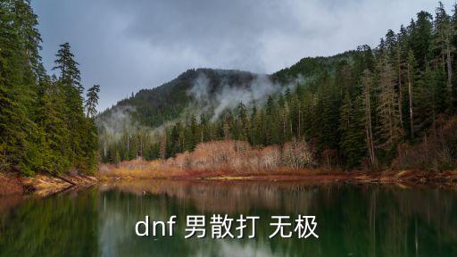 dnf 男散打 无极