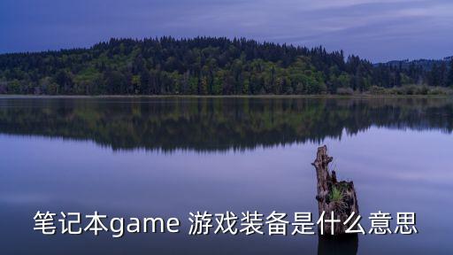 笔记本game 游戏装备是什么意思