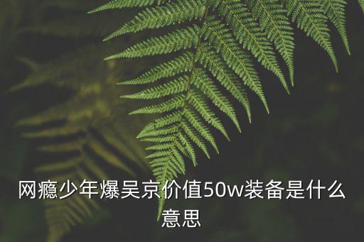 网瘾少年爆吴京价值50w装备是什么意思