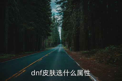 dnf皮肤选什么属性