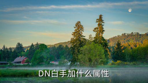 DN白手加什么属性