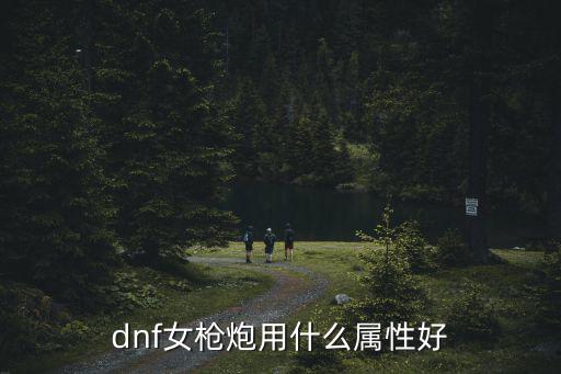 dnf女枪炮用什么属性好