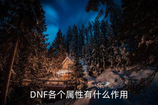 DNF各个属性有什么作用