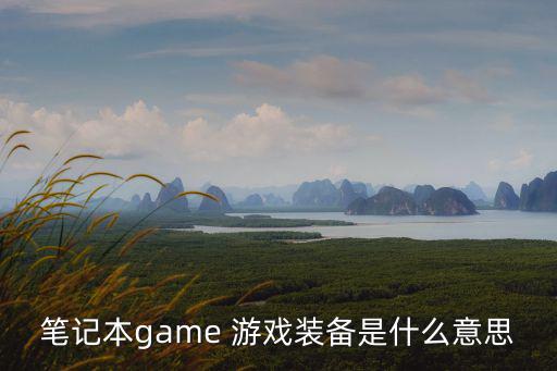 笔记本game 游戏装备是什么意思