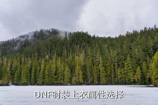 DNF时装上衣属性选择