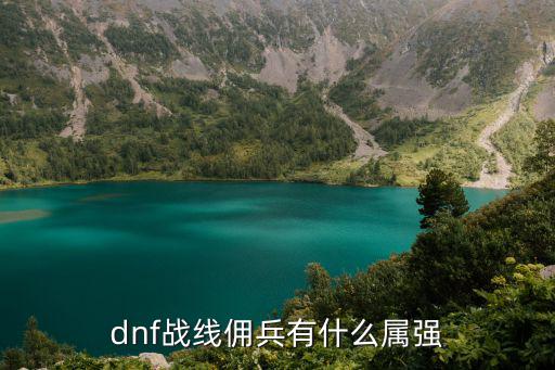 dnf拥兵选择什么属性，dnf战线佣兵有什么属强