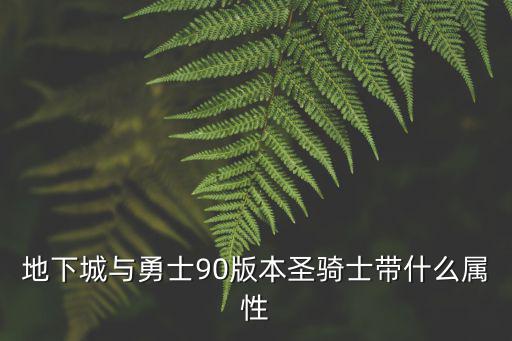 地下城与勇士90版本圣骑士带什么属性