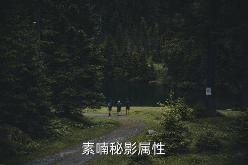 素喃秘影属性