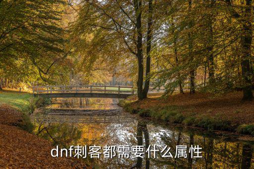 dnf刺客都需要什么属性