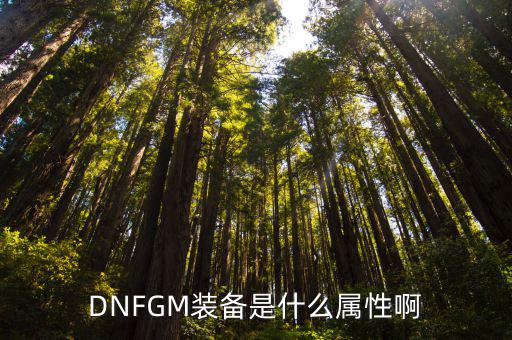 DNFGM装备是什么属性啊