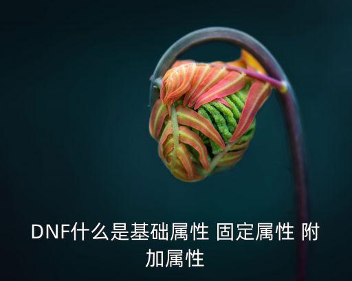 DNF什么是基础属性 固定属性 附加属性