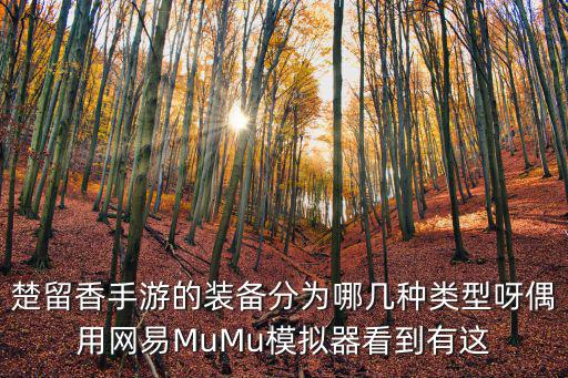 楚留香手游的装备分为哪几种类型呀偶用网易MuMu模拟器看到有这