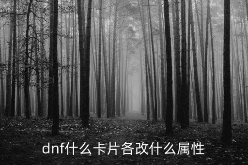 dnf什么卡片各改什么属性