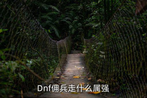 dnf佣兵属性是什么，Dnf佣兵走什么属强