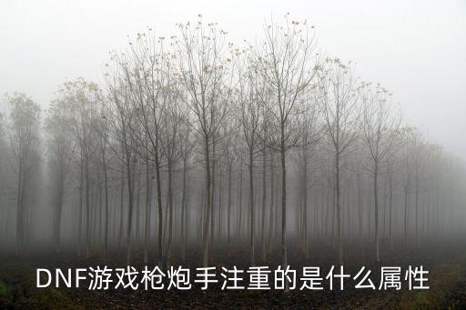 DNF游戏枪炮手注重的是什么属性