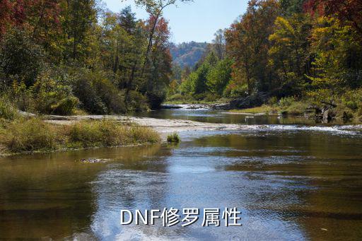 dnf修罗勋章什么属性，DNF修罗属性