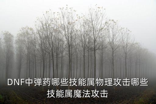 DNF中弹药哪些技能属物理攻击哪些技能属魔法攻击