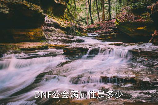 DNF公会满属性是多少