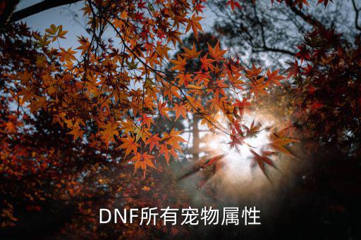 DNF所有宠物属性