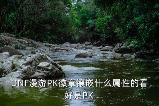 DNF漫游PK徽章镶嵌什么属性的看好是PK