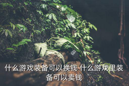 哪些游戏装备可以赚钱啊，什么游戏装备可以换钱 什么游戏里装备可以卖钱