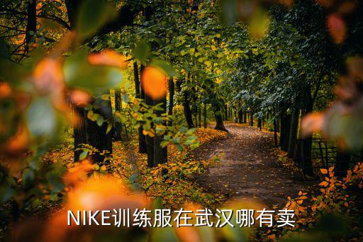 NIKE训练服在武汉哪有卖