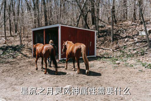 星沉之月灵风神属性需要什么