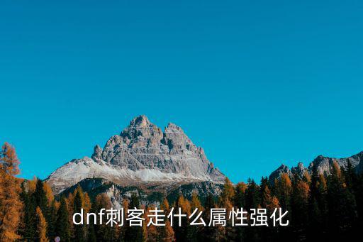 dnf刺客走什么属性强化