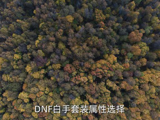 DNF白手套装属性选择