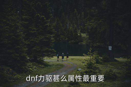 dnf力驱甚么属性最重要