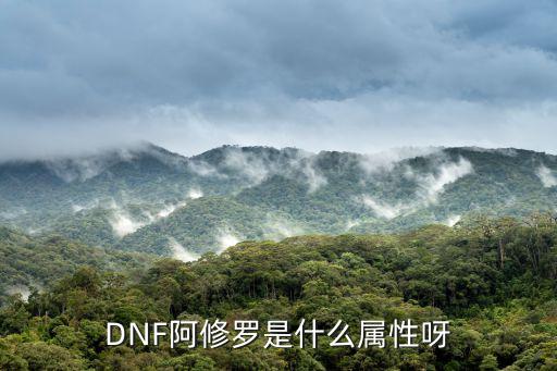 DNF阿修罗是什么属性呀