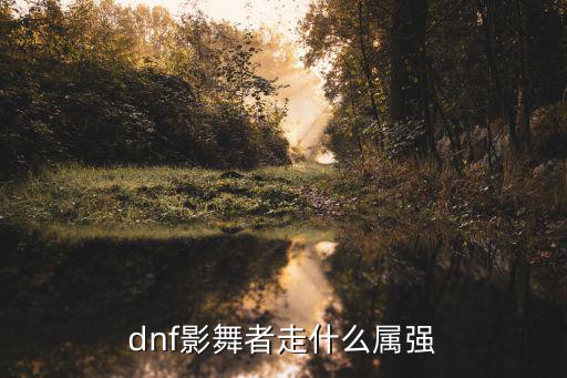 dnf影舞者堆什么属性，dnf影舞者走什么属强