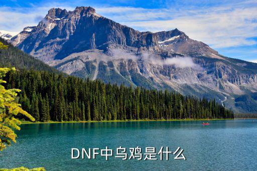 dnf乌鸡属于什么属性，DNF中乌鸡是什么