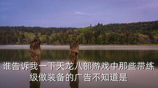 谁告诉我一下天龙八部游戏中那些带练级做装备的广告不知道是