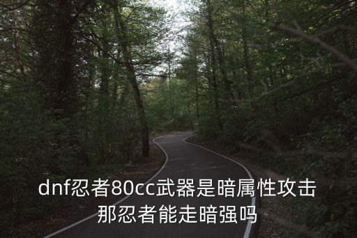 dnf忍者走什么属性，dnf忍者80cc武器是暗属性攻击那忍者能走暗强吗