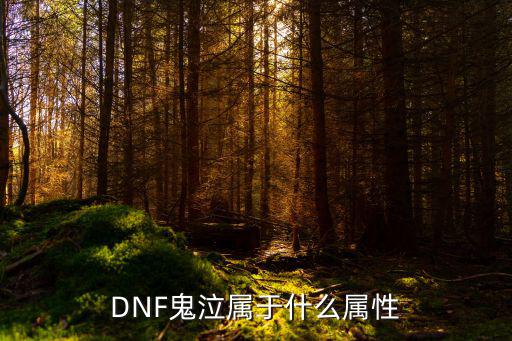 DNF鬼泣属于什么属性