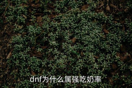 dnf为什么属强吃奶率