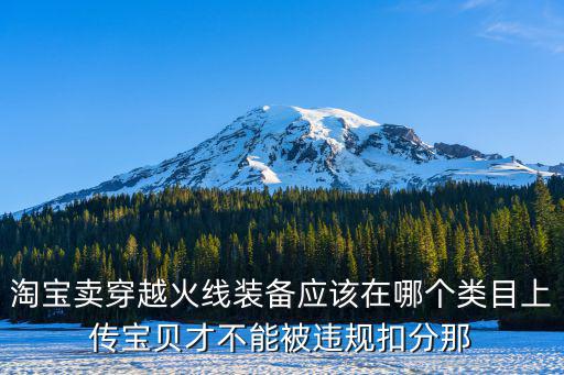 淘宝卖穿越火线装备应该在哪个类目上传宝贝才不能被违规扣分那