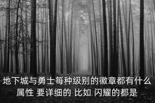 地下城与勇士每种级别的徽章都有什么属性 要详细的 比如 闪耀的都是