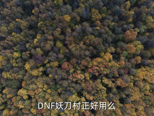 DNF妖刀村正好用么