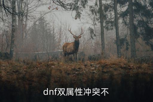 dnf双属性冲突不