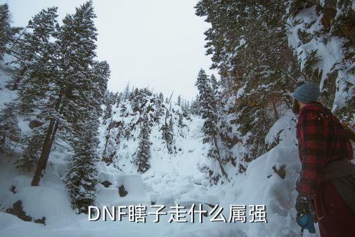 DNF瞎子走什么属强