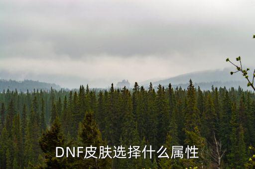 DNF皮肤选择什么属性