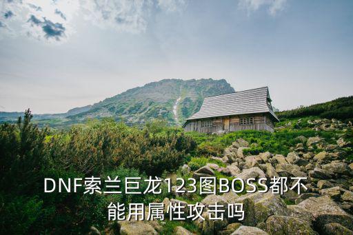 DNF索兰巨龙123图BOSS都不能用属性攻击吗