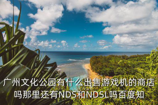 广州文化公园有什么出售游戏机的商店吗那里还有NDS和NDSL吗百度知