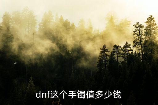 dnf这个手镯值多少钱