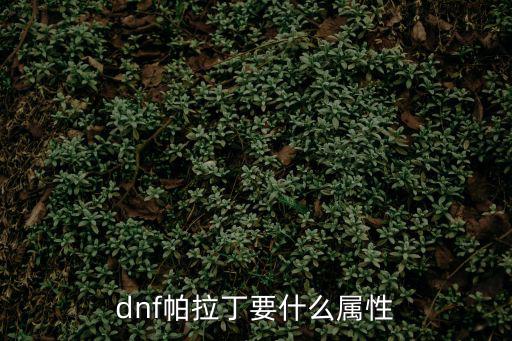 dnf帕拉丁要什么属性